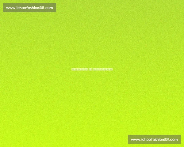 足球城记：布拉迪斯拉发 —— 德国开门黑与两国接壤的首都